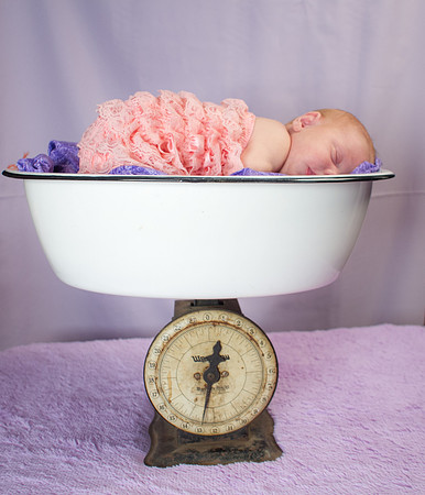 amyhowesphotography-8638