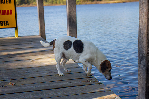 amyhowesphotography-9772