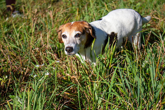 amyhowesphotography-9708