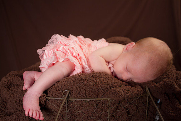 amyhowesphotography-8621