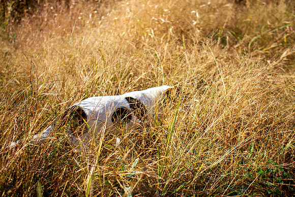 amyhowesphotography-9710