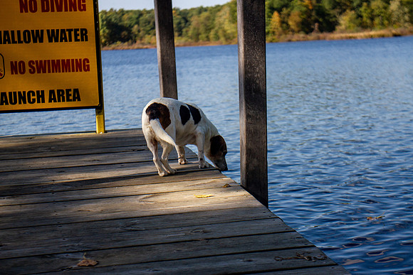 amyhowesphotography-9769