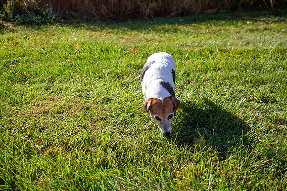 amyhowesphotography-9632