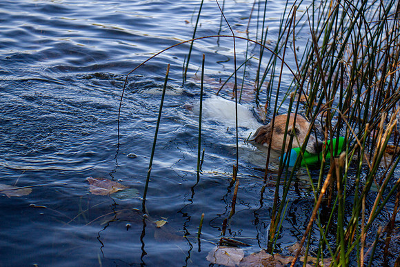 amyhowesphotography-9782