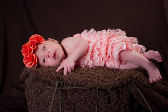 amyhowesphotography-8583