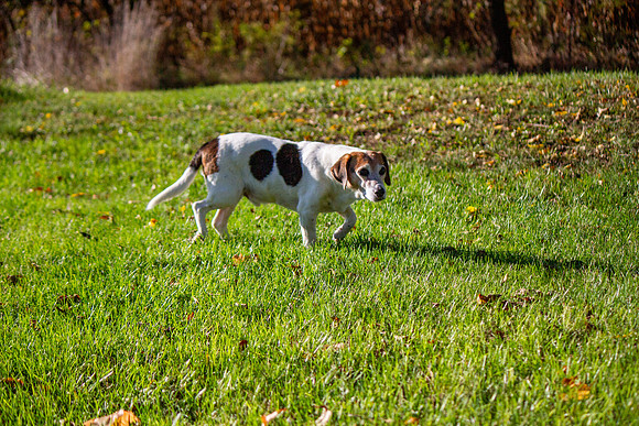 amyhowesphotography-9617