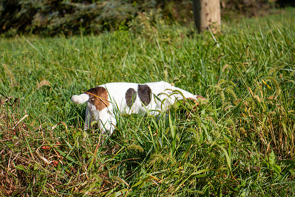 amyhowesphotography-9694