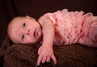 amyhowesphotography-8570