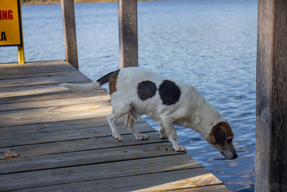amyhowesphotography-9773