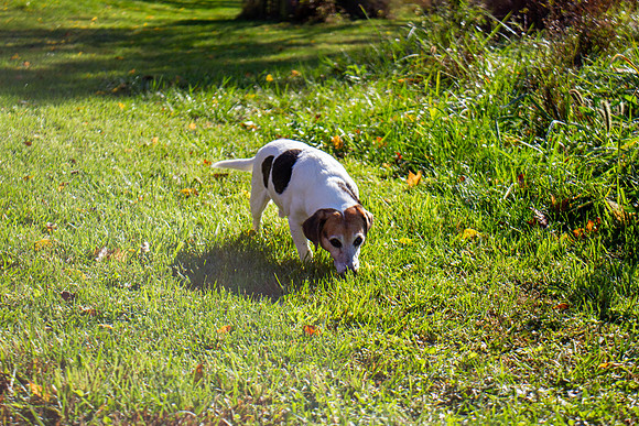 amyhowesphotography-9628