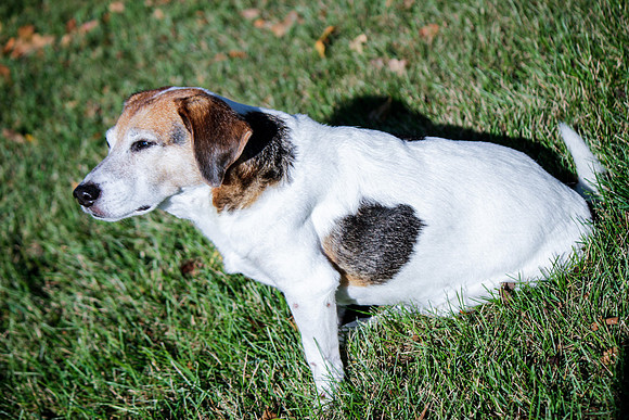 amyhowesphotography-9610-2