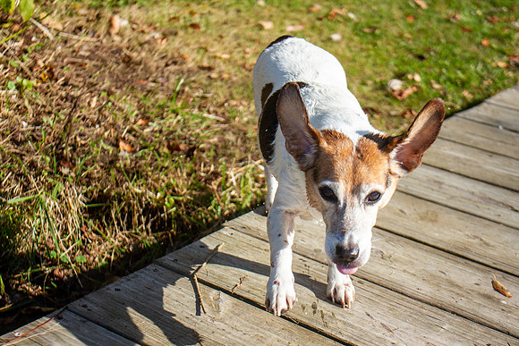 amyhowesphotography-9779