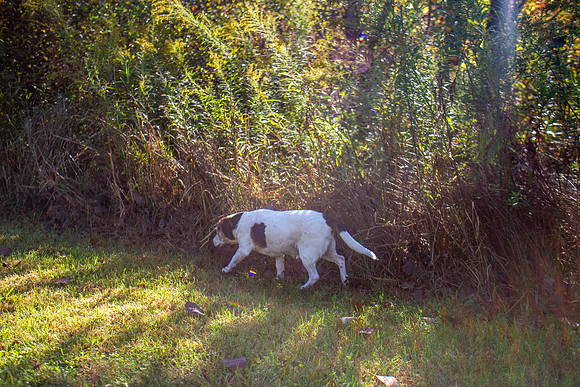 amyhowesphotography-9760
