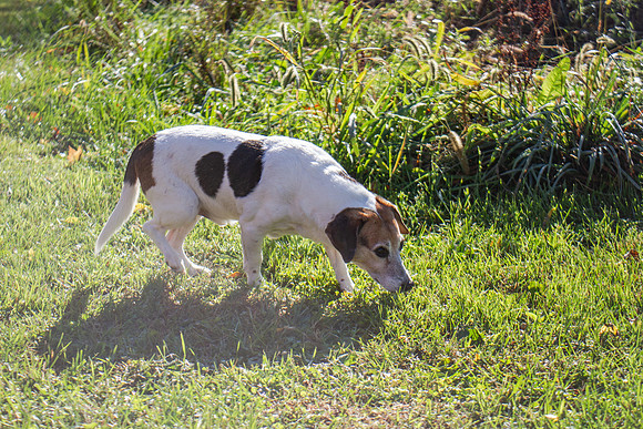 amyhowesphotography-9629