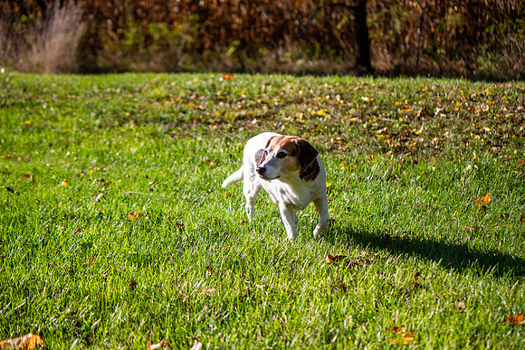 amyhowesphotography-9618