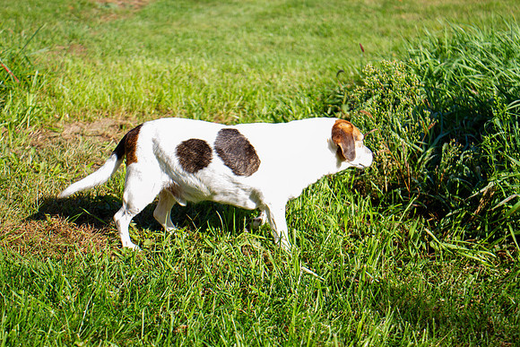 amyhowesphotography-9678