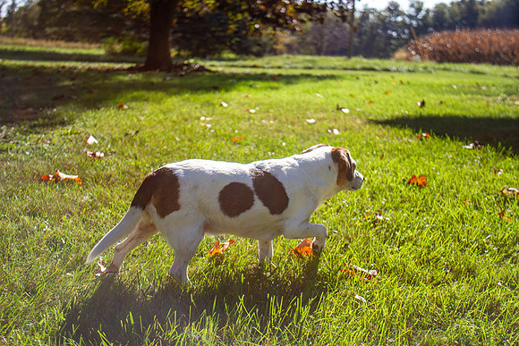 amyhowesphotography-9741