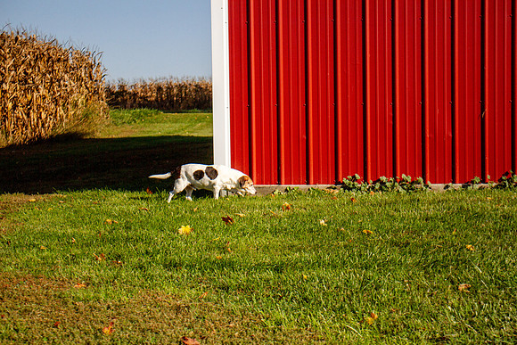 amyhowesphotography-9643