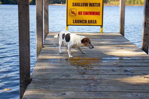 amyhowesphotography-9807