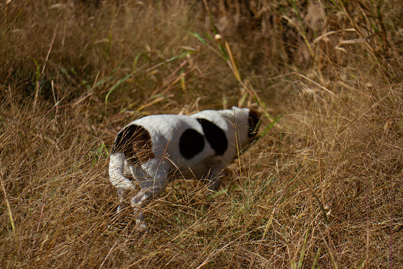 amyhowesphotography-9712
